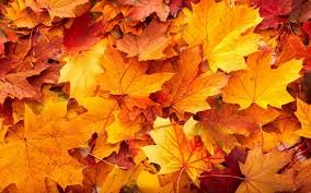 Hemos ‘caído’ en el otoño fiel    
