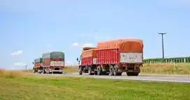 Transportistas de cargas expresaron su preocupación por la suba de costos y la caída de actividad