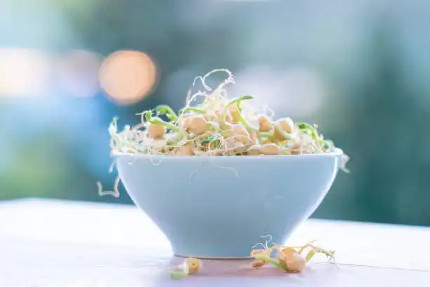 Germinados: alimentos que te nutren de VIDA