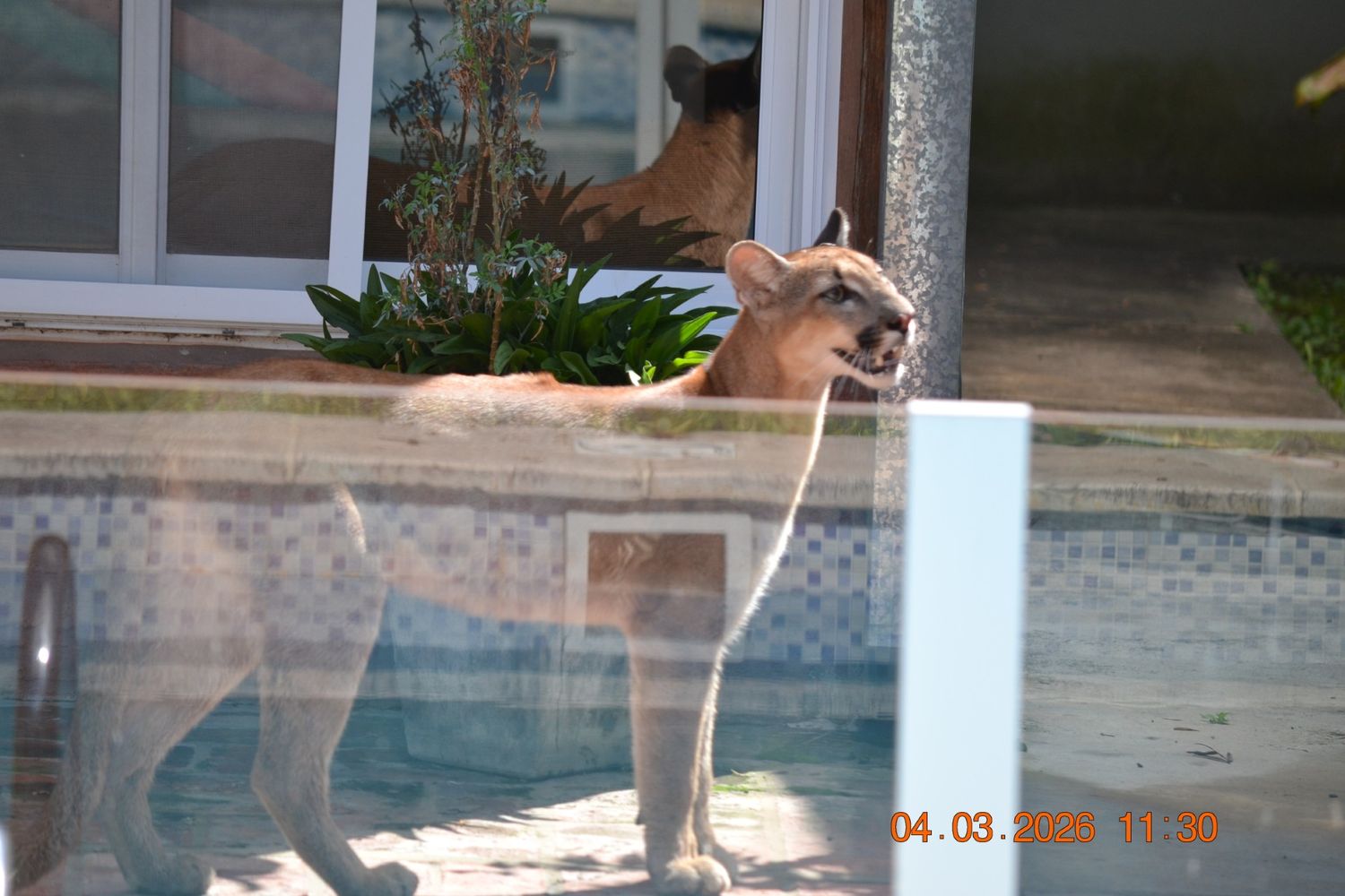 Crédito: Juan Martín Mastropaolo