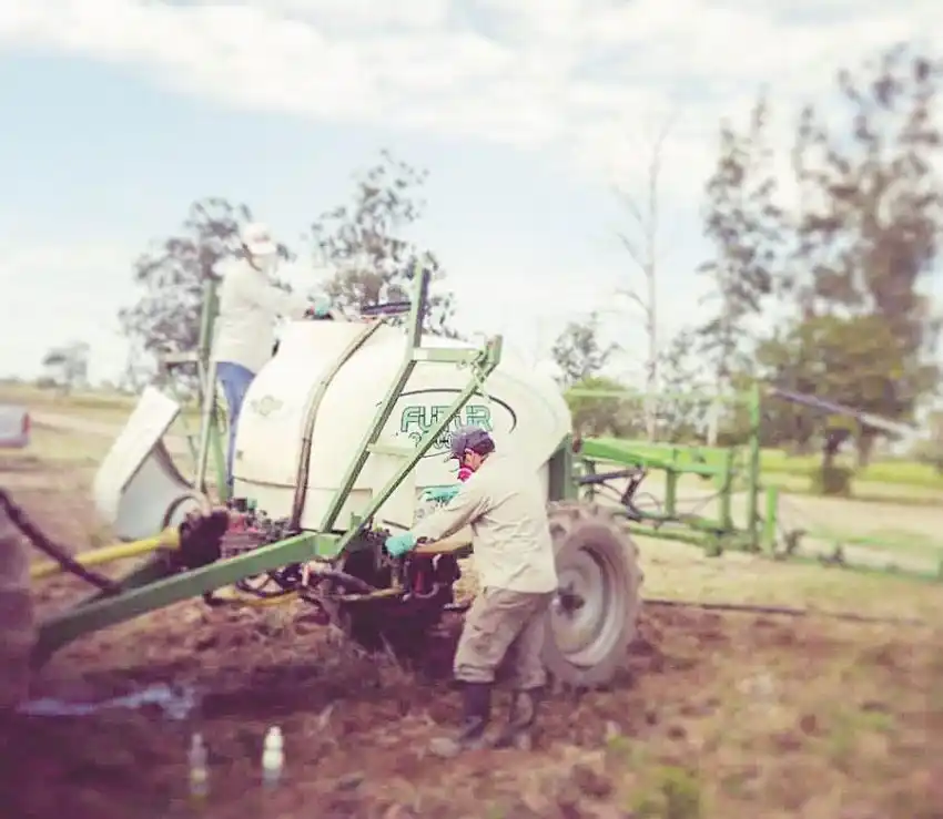 Productores algodoneros de la provincia comenzaron a usar receta fitosanitaria
