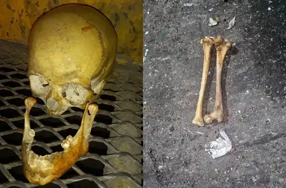 Macabro hallazgo: recolectores identificaron restos óseos entre la basura