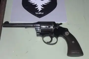 El revólver que portaba el hombre arrestado.