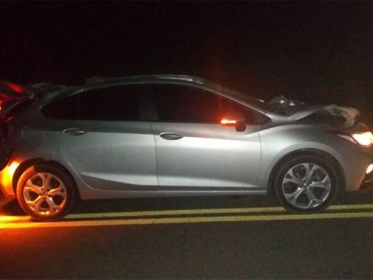Murió tras chocar dos caballos sueltos en la ruta