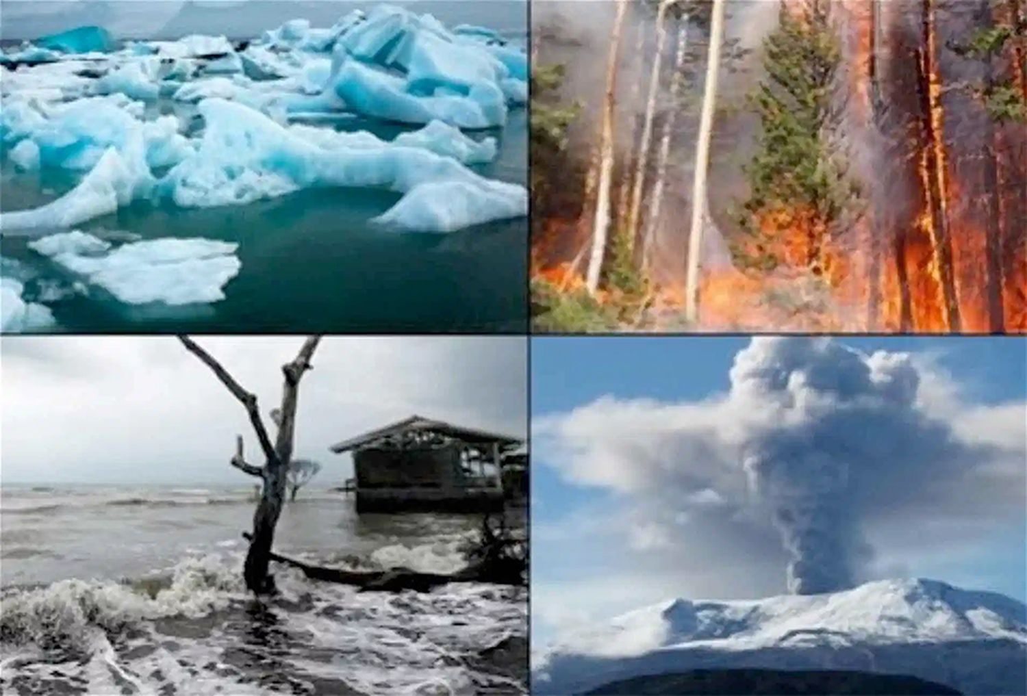 Consecuencias del cambio climático