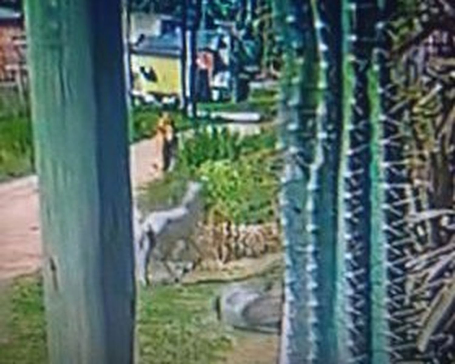 Parecían golpes en el tapial