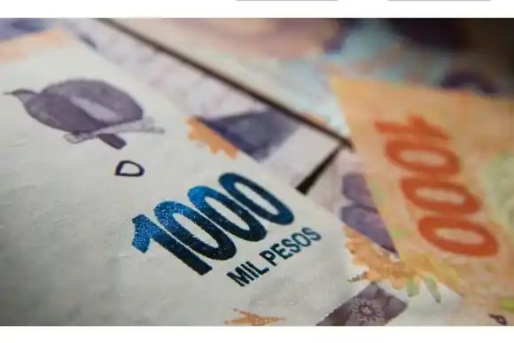 Anses anunció un bono de $36.000 en agosto: quiénes lo cobran y cuándo se paga