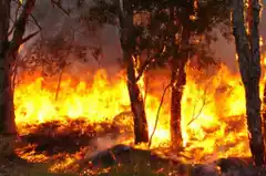 Permanecen activos dos focos de incendios en zona de Gualeguay