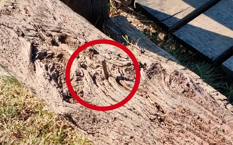 Cuidado en el mirador: “Un fierro que sale, peligroso”