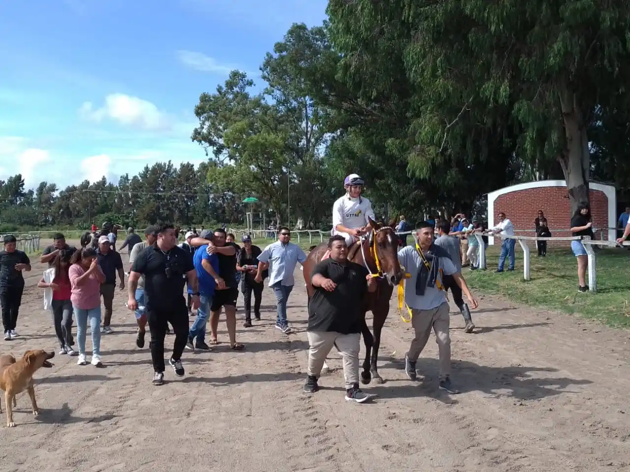 Turf: Radiante Boy y Noah Tom, los ganadores de la Copa Criadores