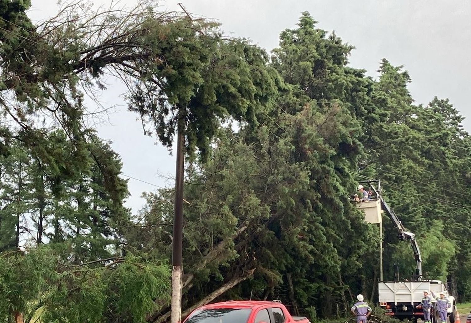 Informe tras las tormentas: falta de prevención de los privados y daños al sistema de energía