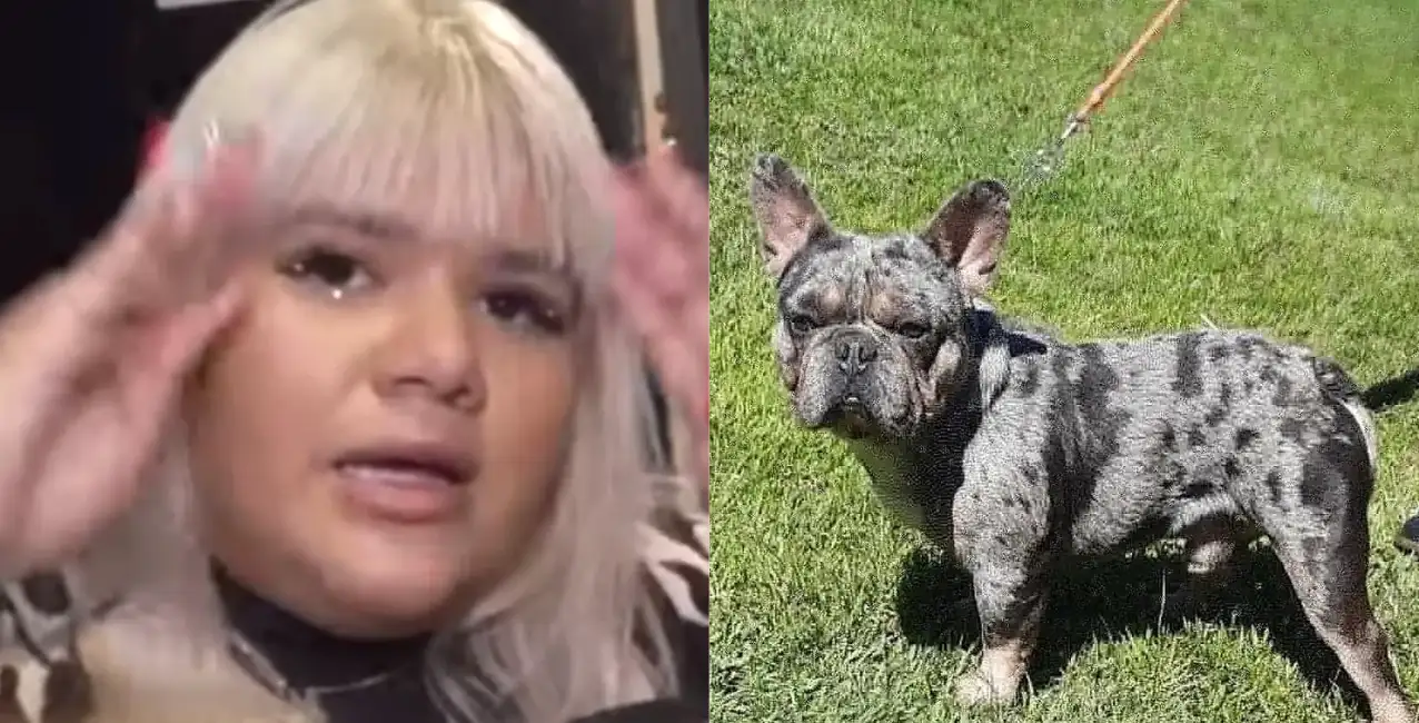 More Rial puso en venta a su perrito: cuánto dinero pide