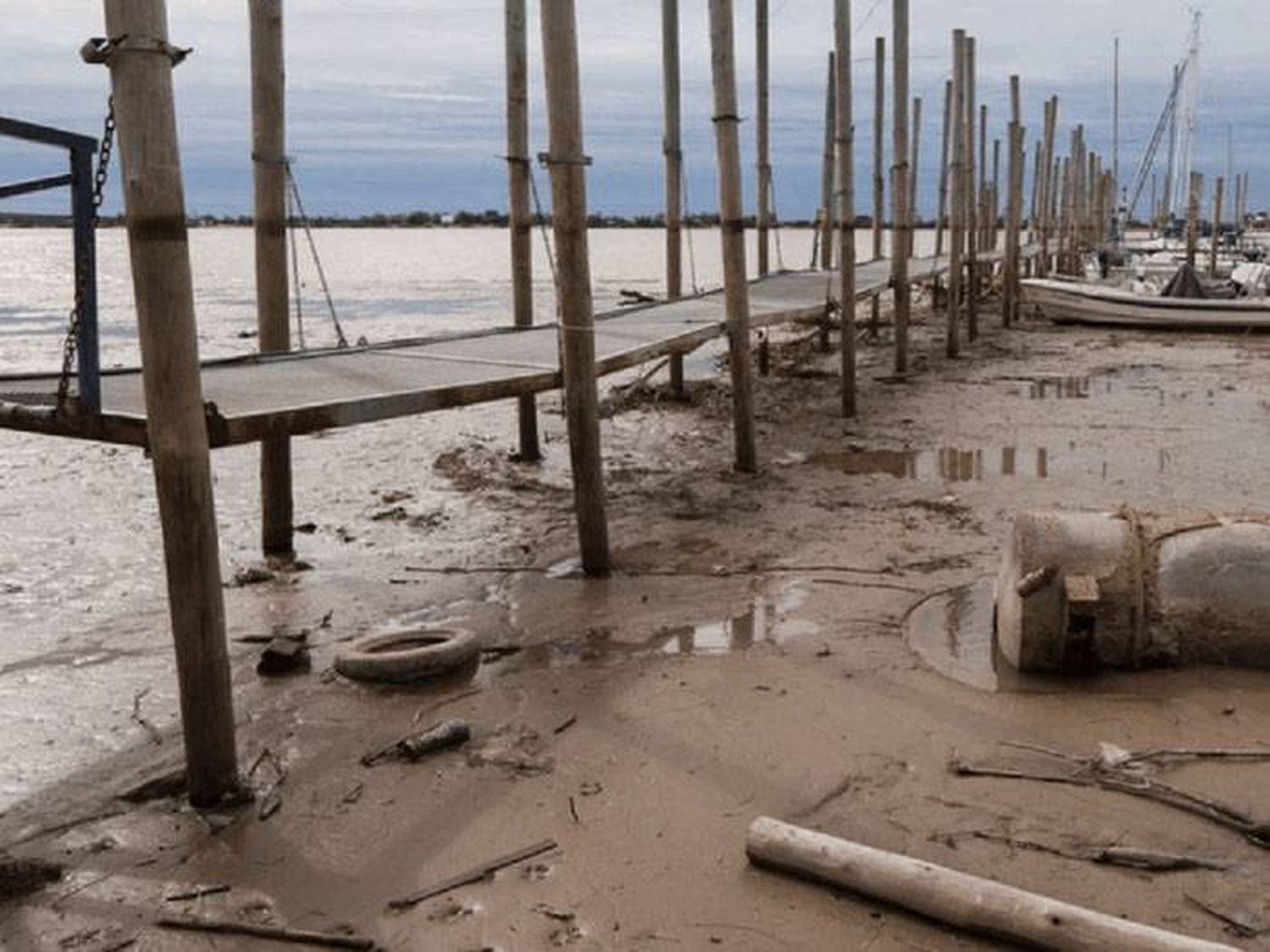 "La bajante del río Paraná es técnicamente un desastre"