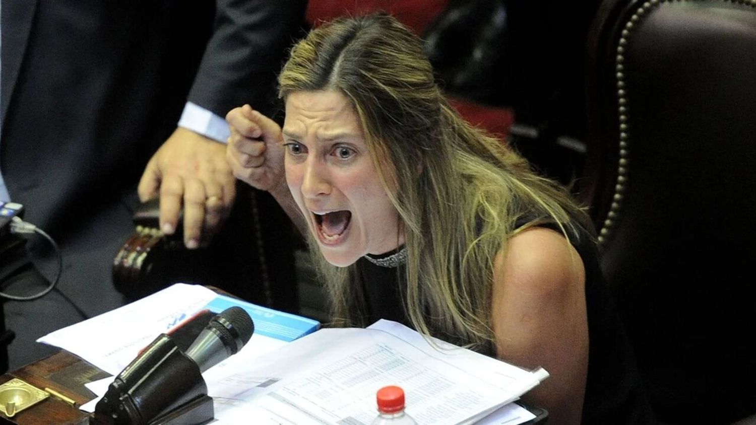 Acusaciones por Ficha Limpia: La Diputada Lospennato culpó a los libertarios por el fracaso del proyecto y la cruzaron