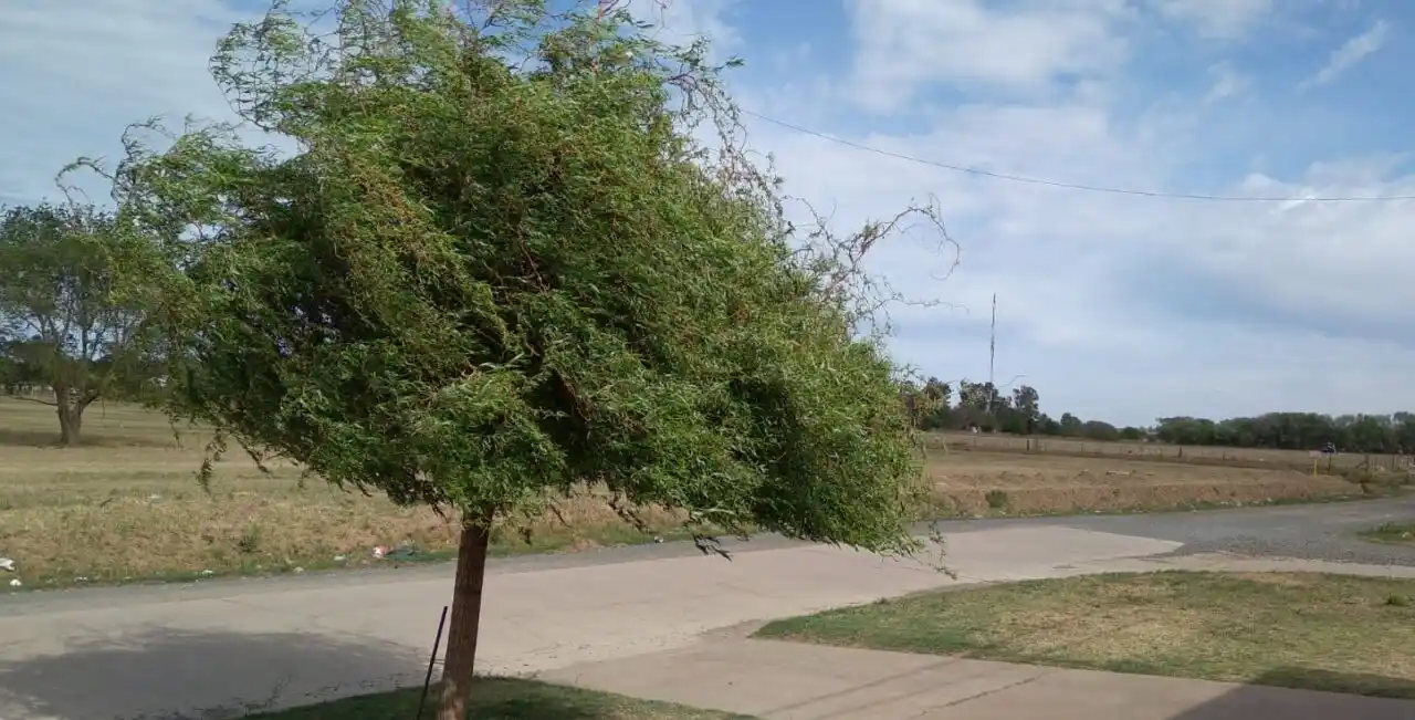 Las fuertes ráfagas se imponen desde hora temprana y seguirán a lo largo de la jornada.
