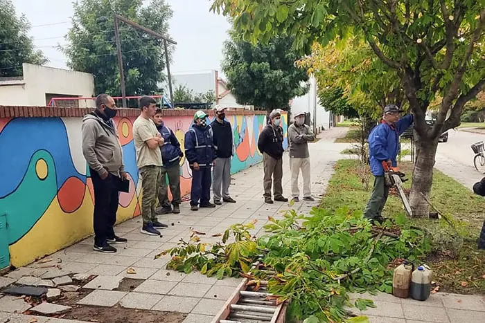 Se realizó en La Dulce un curso para podadores