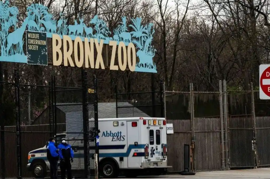 Estados Unidos registró 2228 muertes en un día