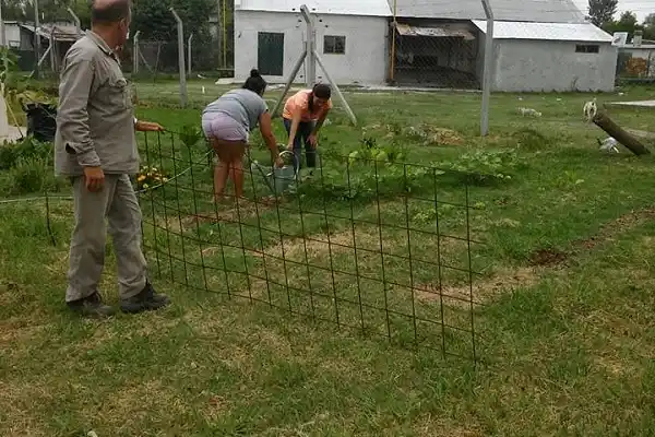 Hábitos saludables: En La Cuchilla funciona una huerta comunitaria 