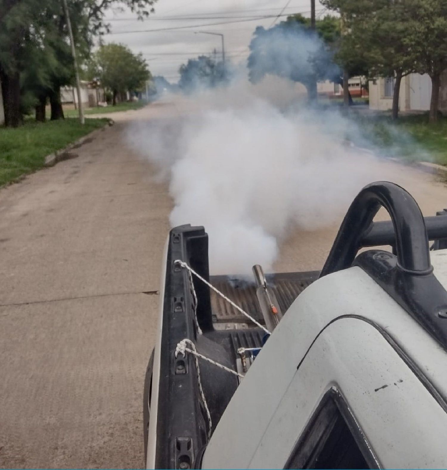 Continúan los operativos de fumigación antimosquitos en horarios extendidos