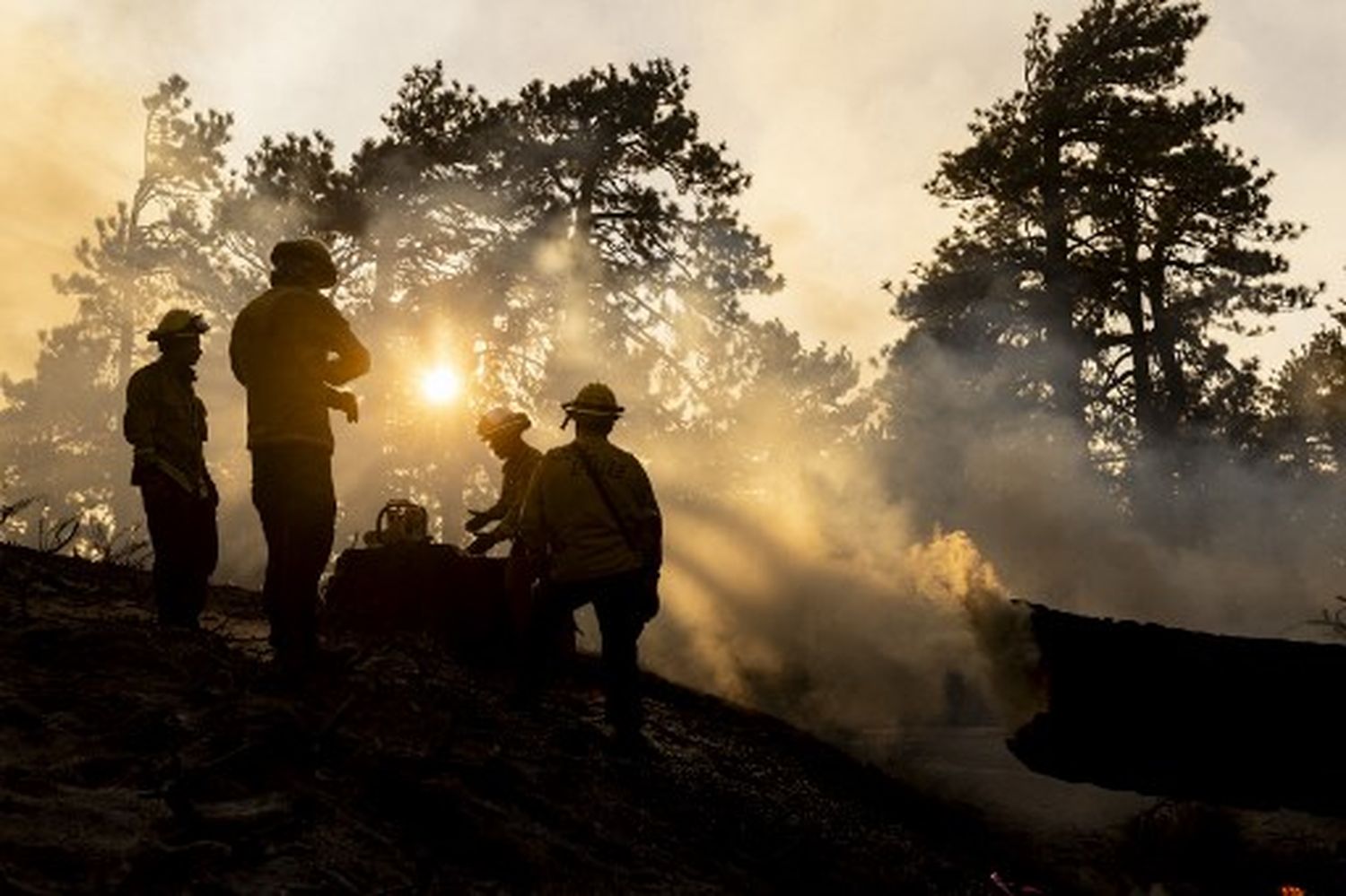 Prevén consecuencias irreversibles SI LA TEMPERATURA MEDIA AUMENTA MÁS DE 1,5 ºC
