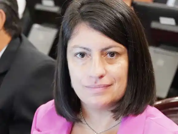 Hoy comienza a tratarse el proyecto de Ley de Reiterancia Delictiva