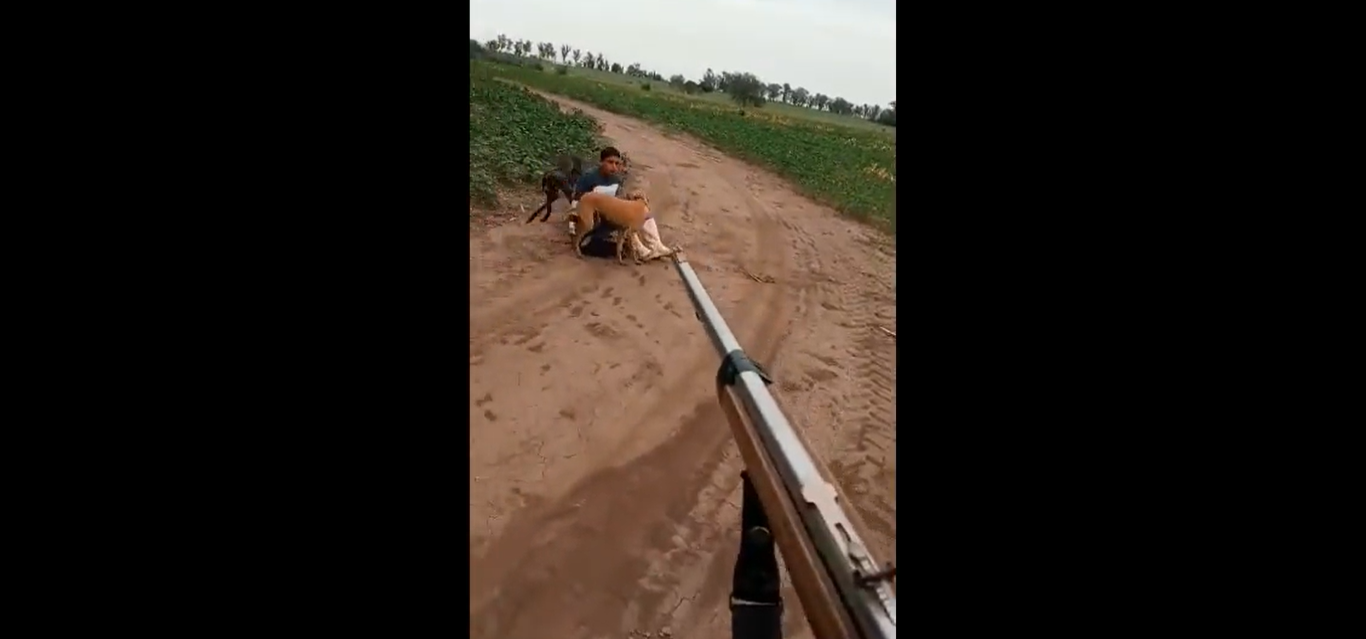 San Pedro: Productor agropecuario apuntó con un arma a un joven que estaba en su campo y lo filmó