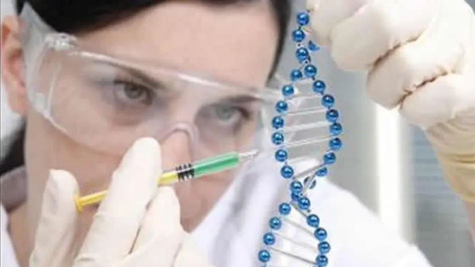 "Gracias a la investigación hoy se pueden curar casi el 50% de los diagnósticos y otro cuarto puede vivir con la enfermedad"