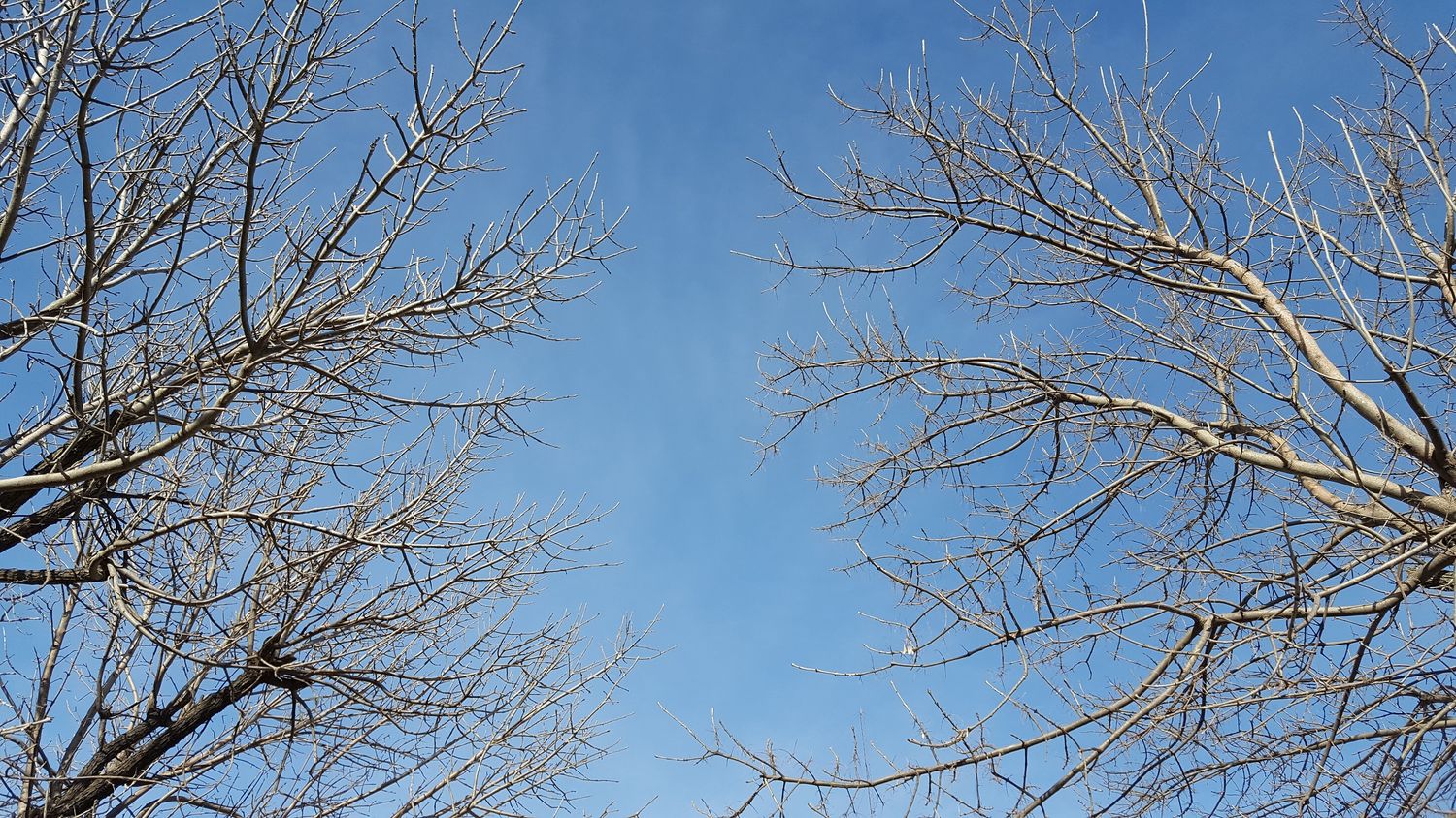 El Servicio Meteorológico Nacional anuncia para este domingo temperaturas que oscilan entre los 12º y 30º