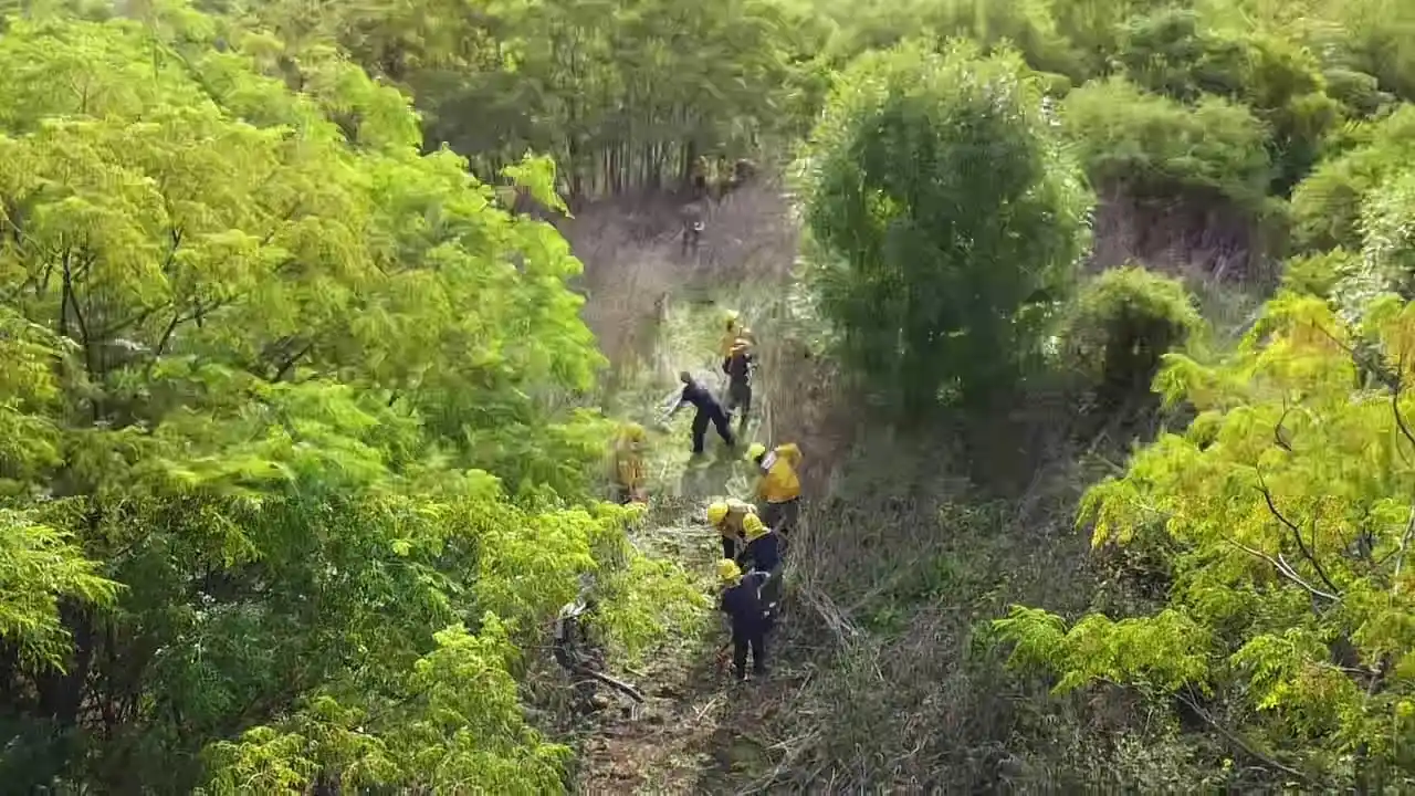 Capacitan a pobladores de las islas del Delta sobre la construcción de cortafuegos naturales