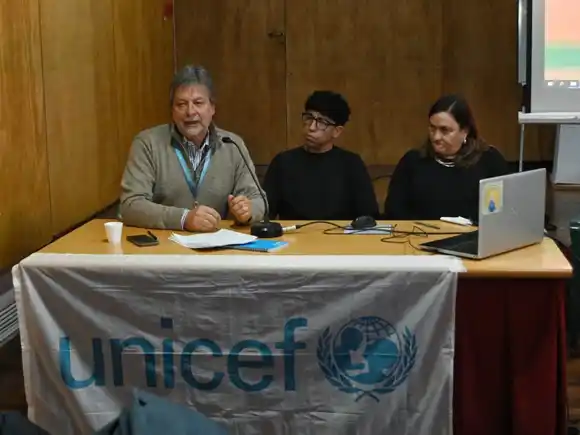 La provincia presentó proyectos para mejorar la atención en embarazos y maternidad junto a Unicef