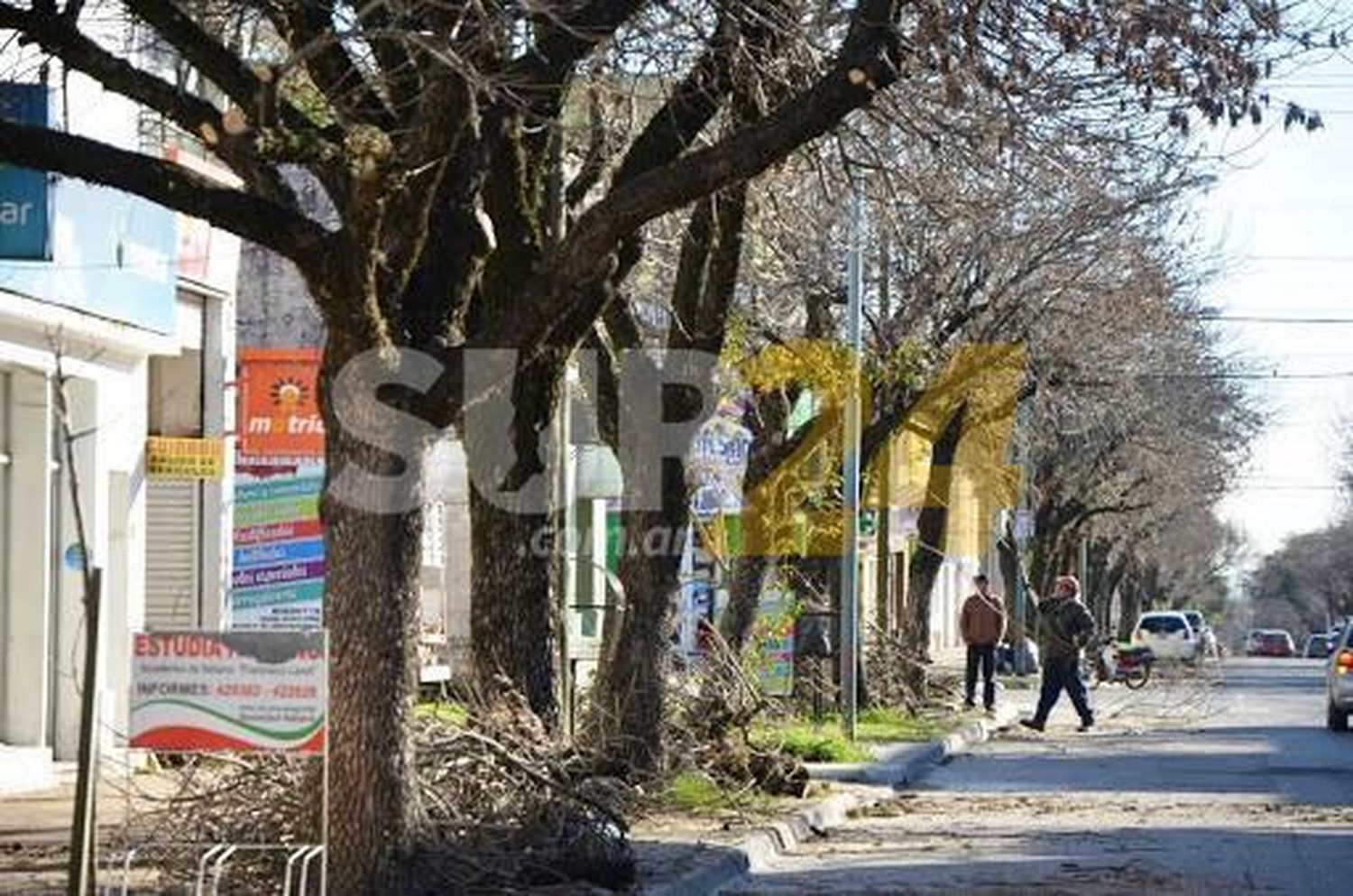 La Provincia inició el curso de gestión del arbolado público