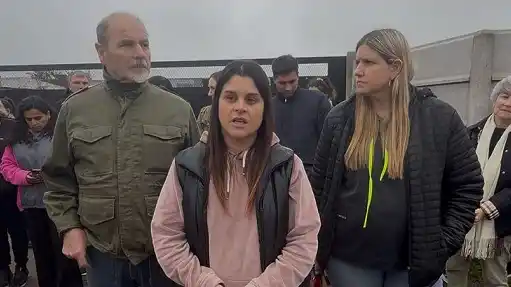 Al menos seis perros muertos tras el ataque de pitbulls en el barrio Palermo