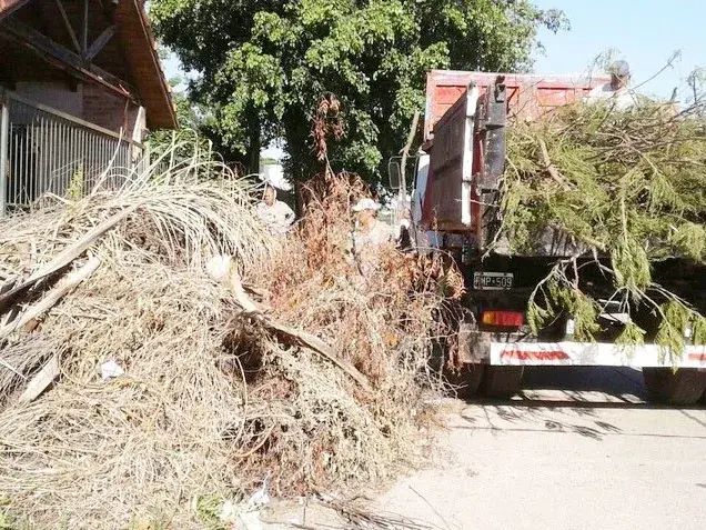 La Municipalidad estableció un cronograma semanal para el retiro de ramas