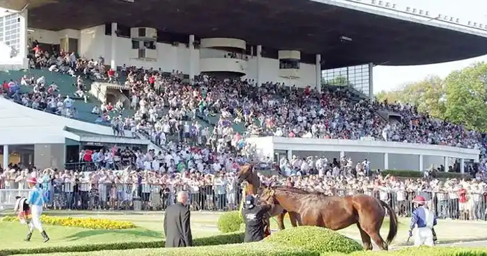 Martes 24: Actividad Hipódromo de La Plata