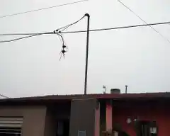 Robo de cables: después de un “afloje” en julio, la Usina registró nuevos hechos a partir de agosto