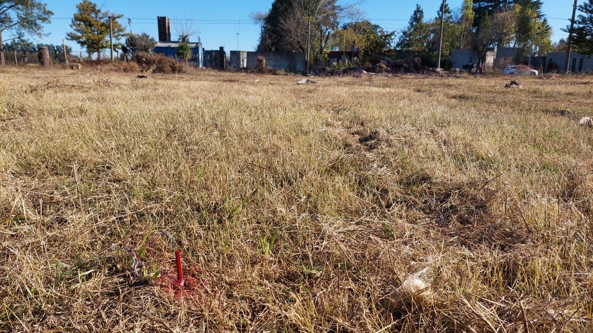 Cooperativa Independencia: así está el terreno que querían subdividir de manera irregular