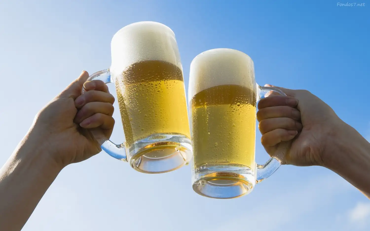 Reprogramaron la Fiesta Provincial de la Cerveza para el 20 y 27 de enero