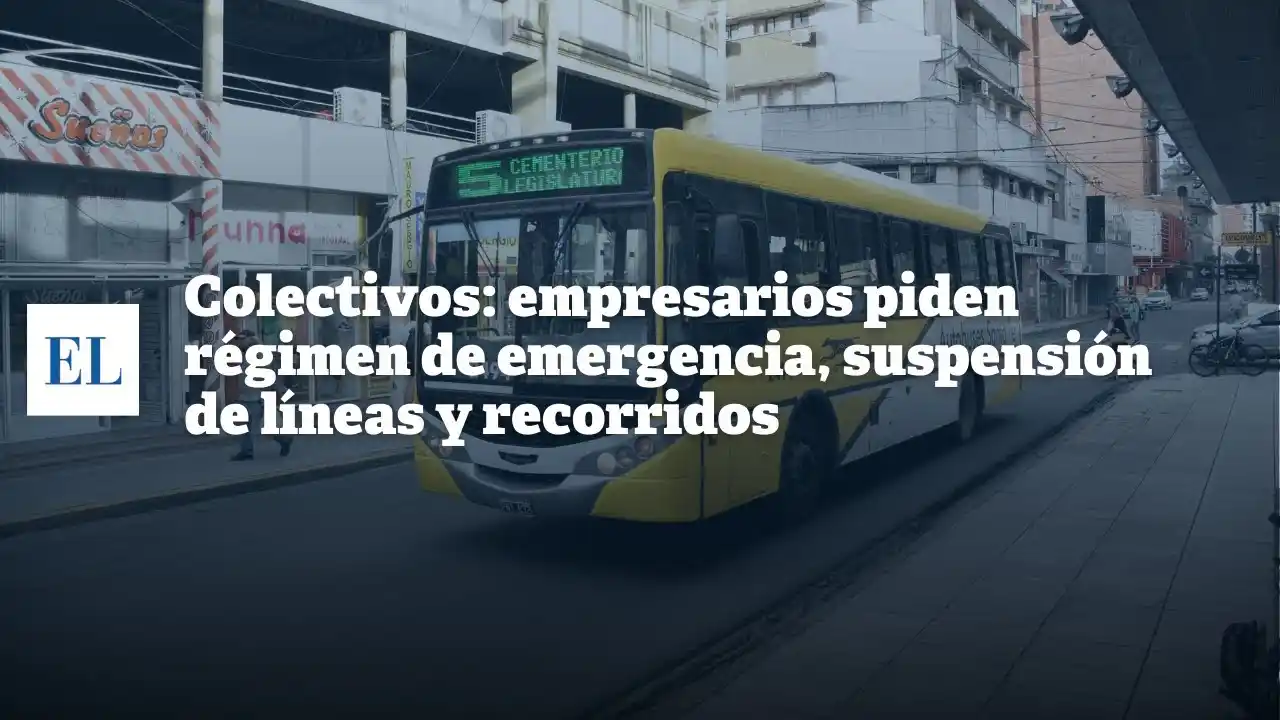 Colectivos: empresarios piden régimen de emergencia, suspensión de líneas y recorridos