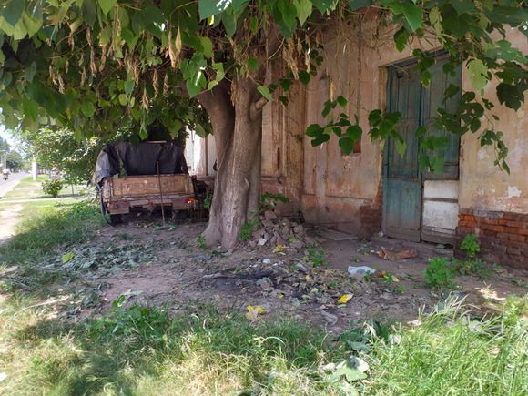 Habló el hermano del hombre atacado por una jauría en Lucio Mansilla y 11 de Septiembre
