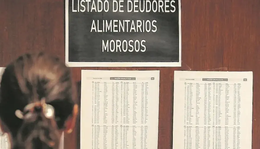 Registro de deudores alimentarios