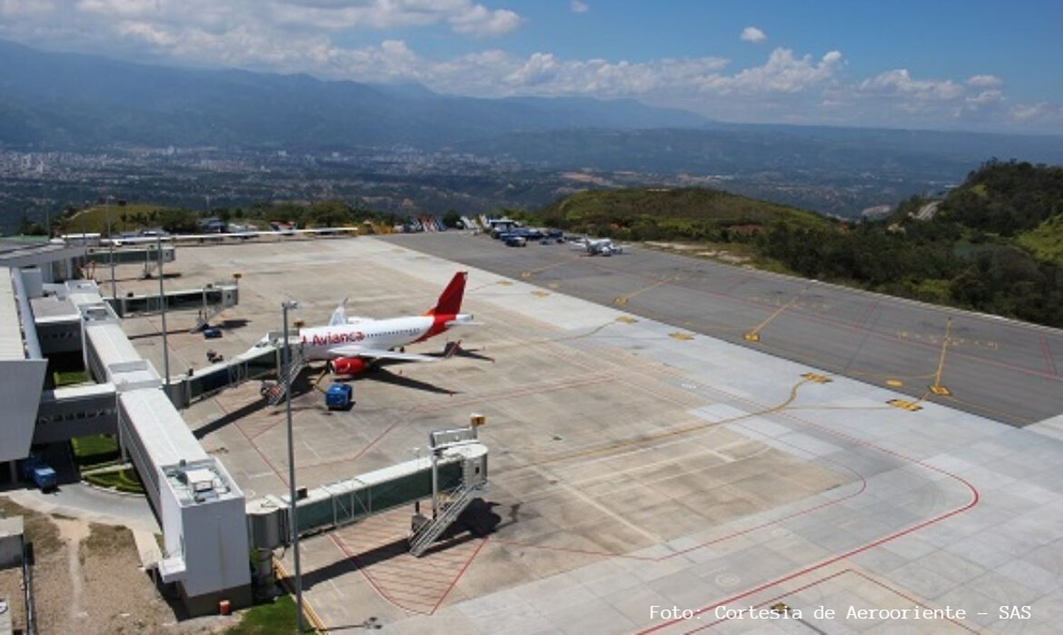 Aerocivil intensifica medidas para mitigar riesgos por fauna en el aeropuerto de Bucaramanga