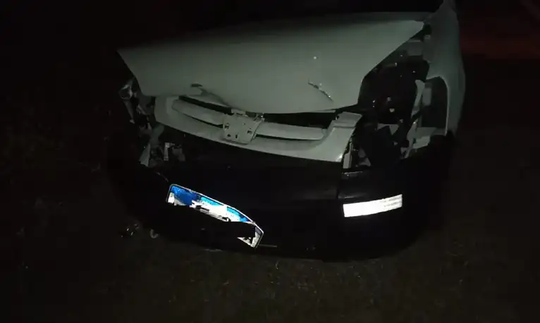 Un conductor impactó contra un guazuncho en una ruta entrerriana