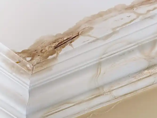 Cómo detectar filtraciones de agua en el hogar