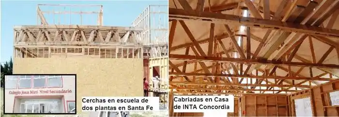 Cerchas entramadas de eucalipto:  una solución sencilla