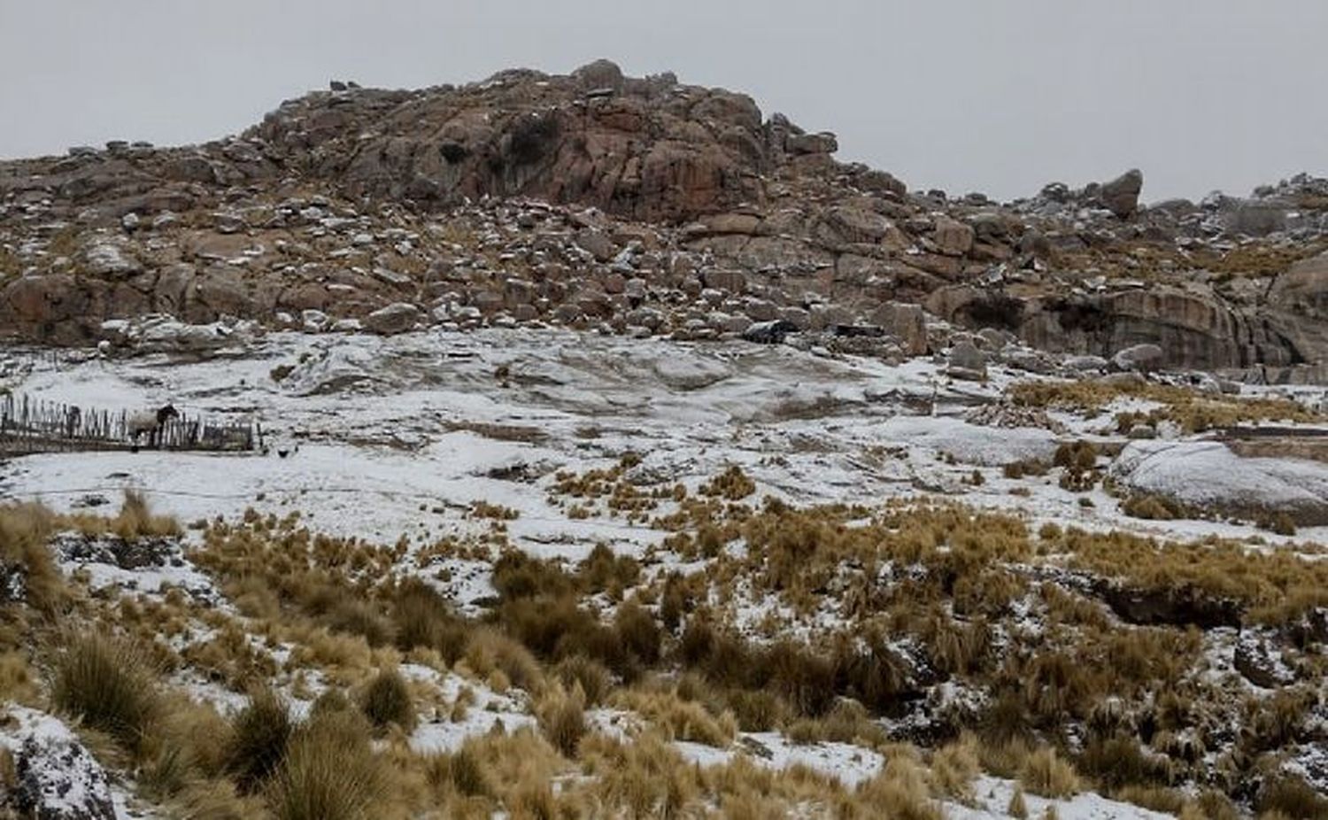 Nieve en Pampa de Achala