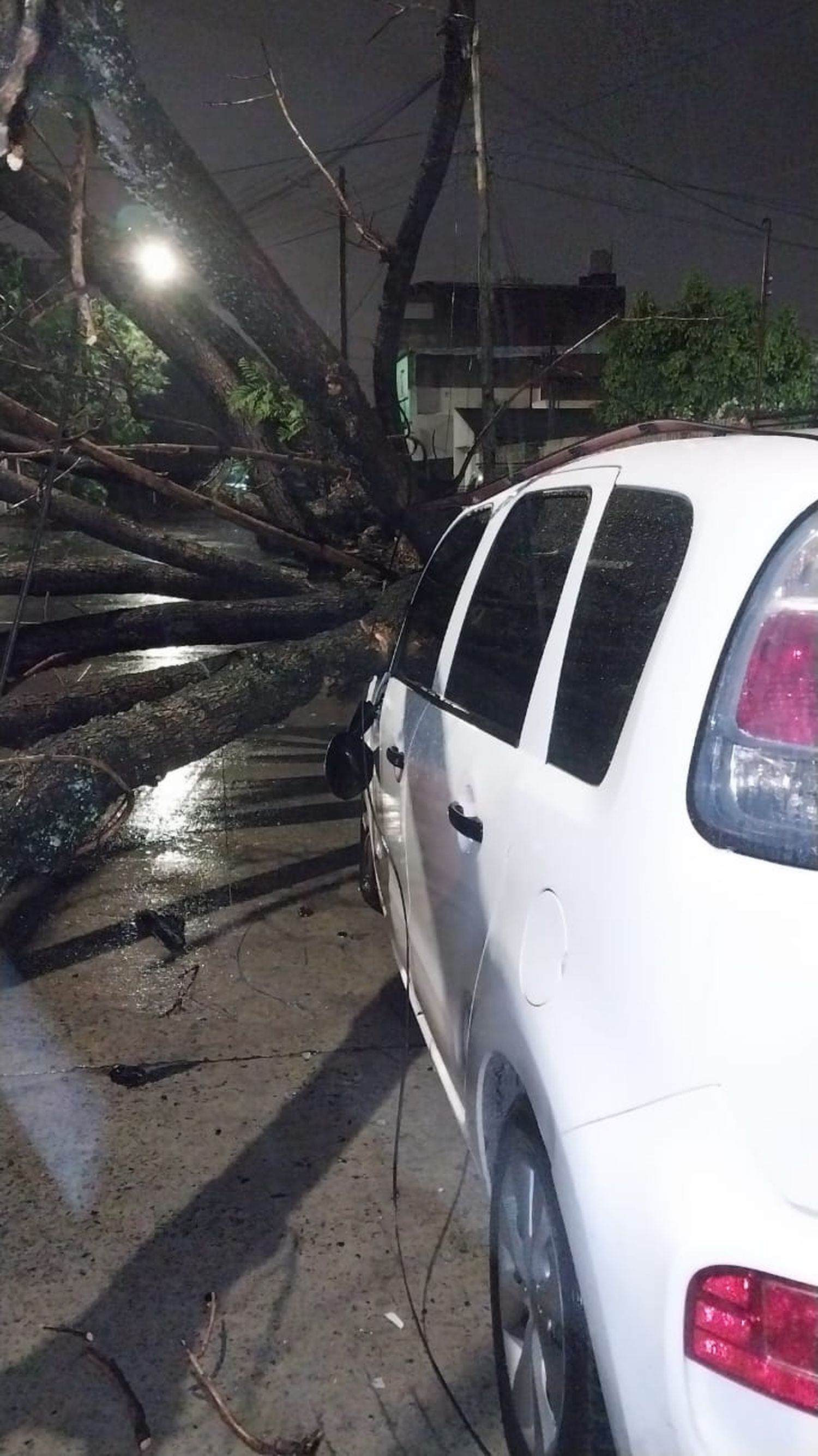 La tormenta hizo estragos en el AMBA esta madrugada de domingo.