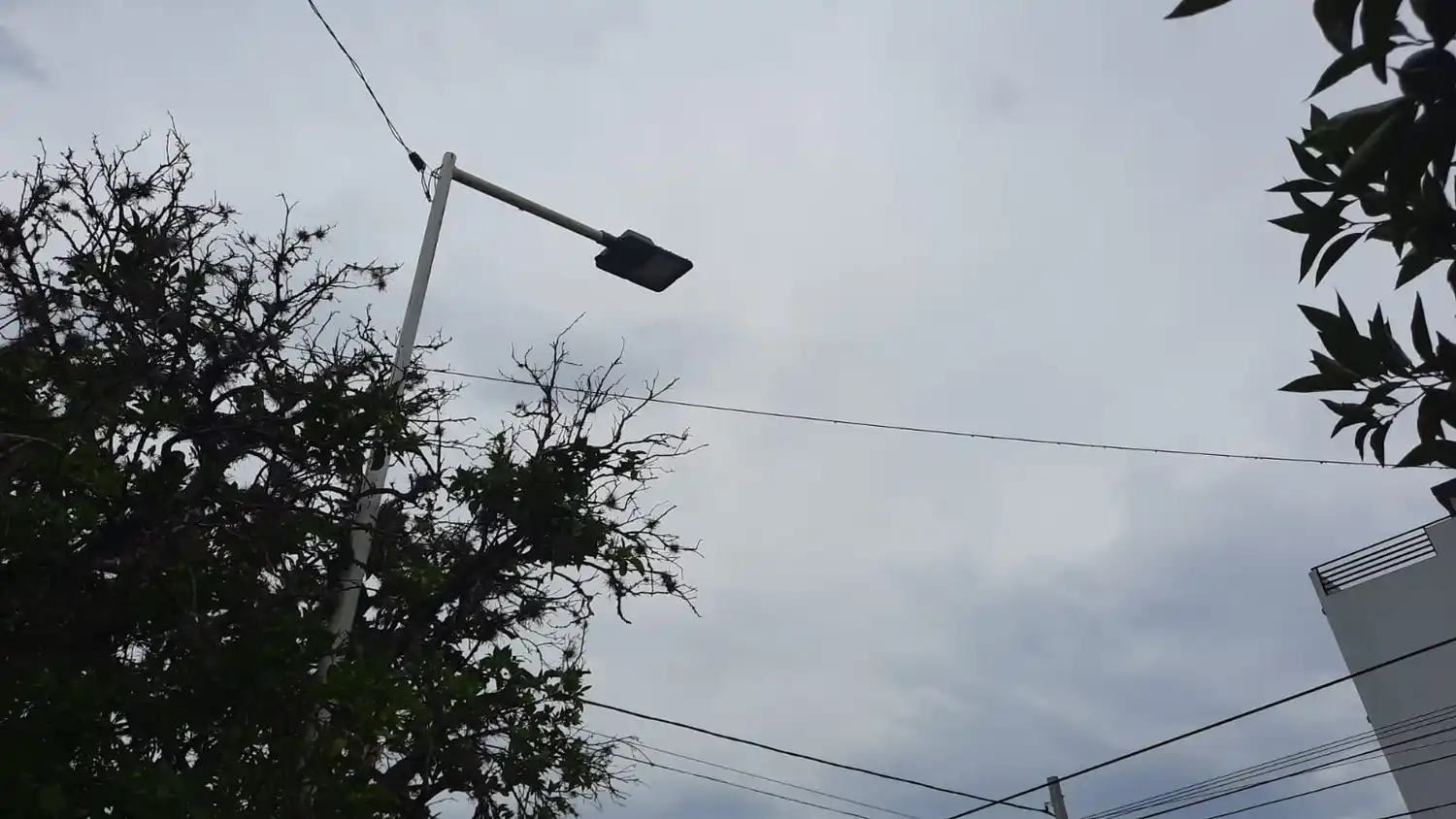 Aunque con probabilidad de lluvias, no hay alerta por tormentas para San Pedro