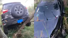 Camioneta despistó y terminó incrustada en un árbol