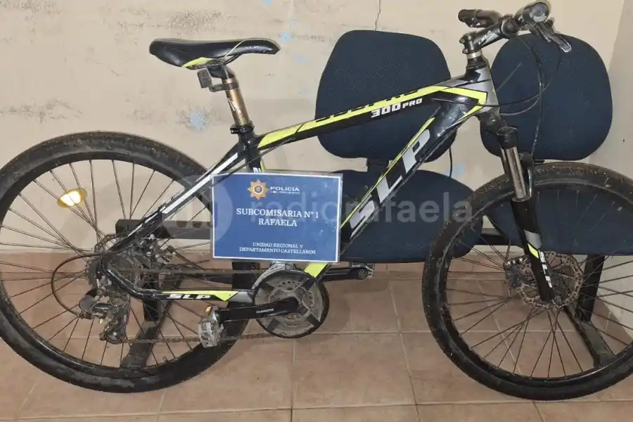 Escuchó ruidos, salió de su casa y se encontró a un ladrón saltando la reja con su bicicleta