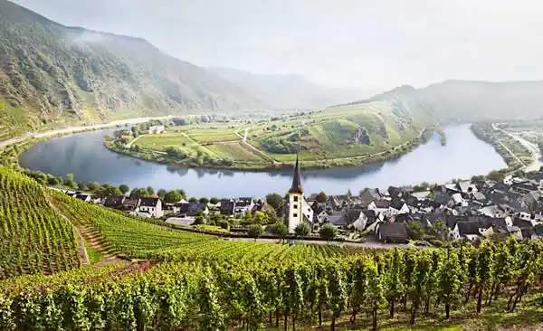 Mosel